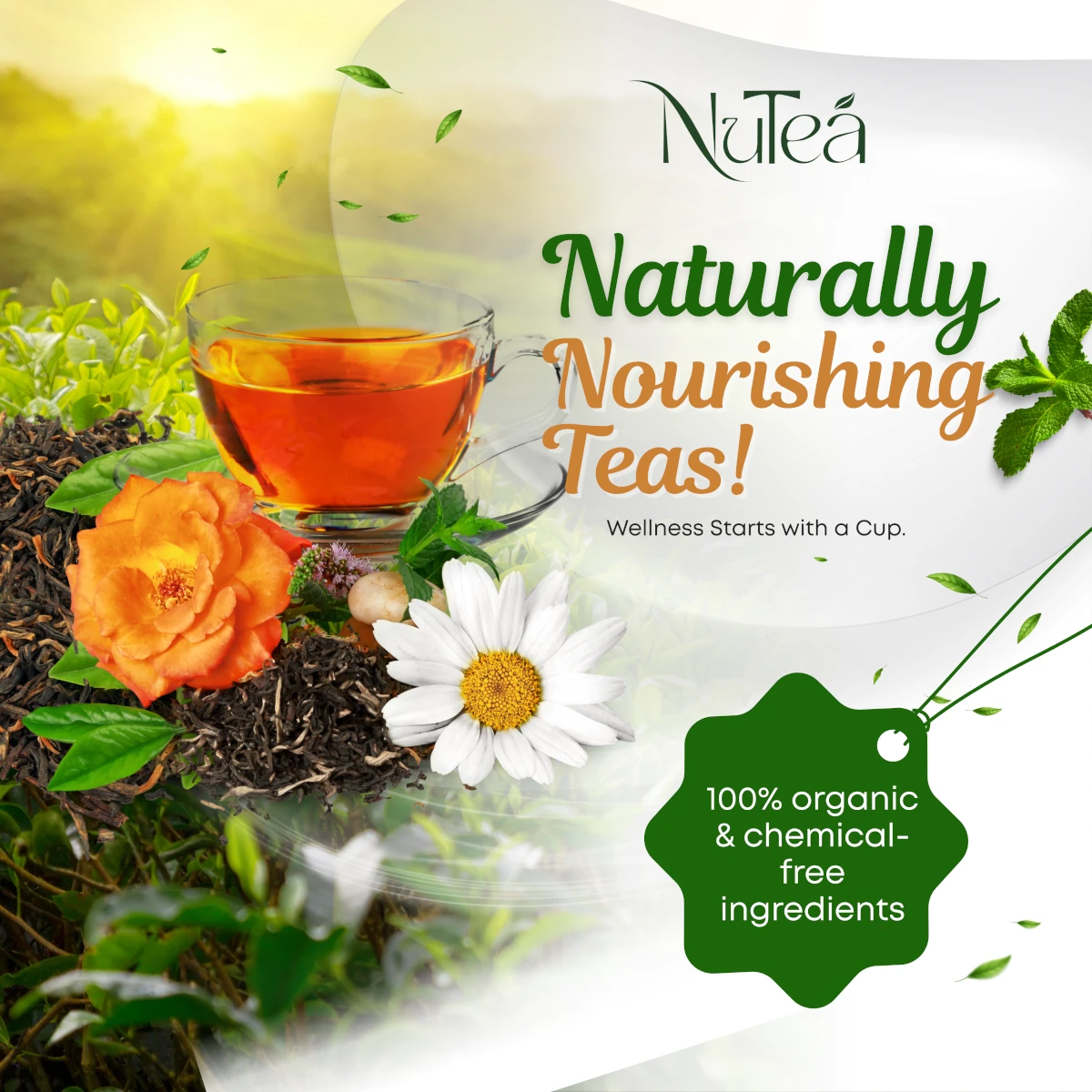 NuTea organic tea with spices and natural ingredients